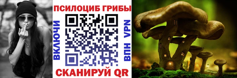 Псилоцибиновые грибы Psilocybe  наркошоп  Алексеевка 