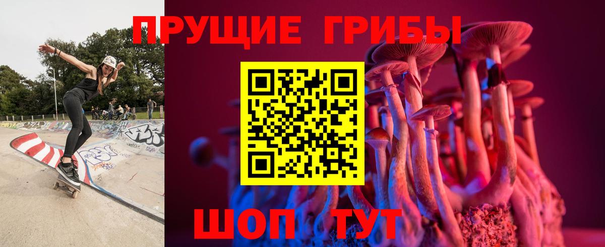 Галлюциногенные грибы Cubensis  Вход с VPN  Алексеевка 